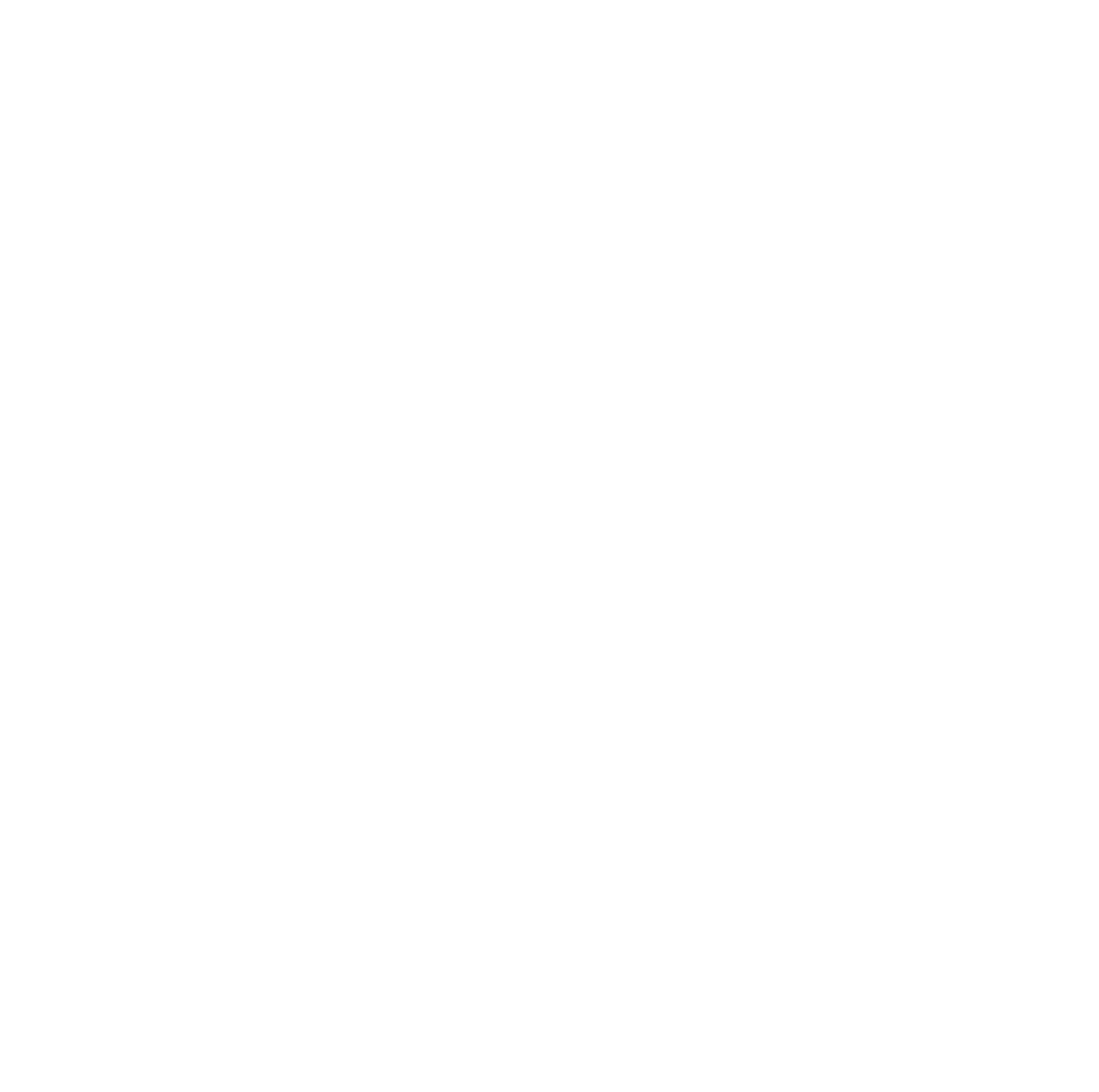kiwami logo